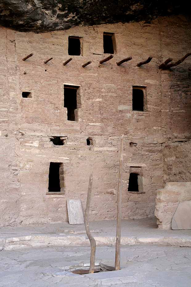 Spruce Tree House