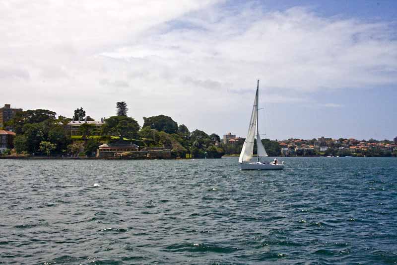 Sailboat in Sydney Harbor