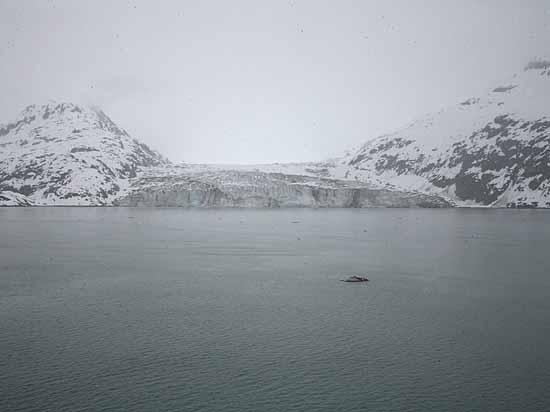 Glacier Bay National Park