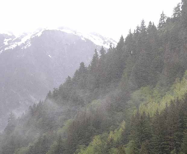 Juneau City