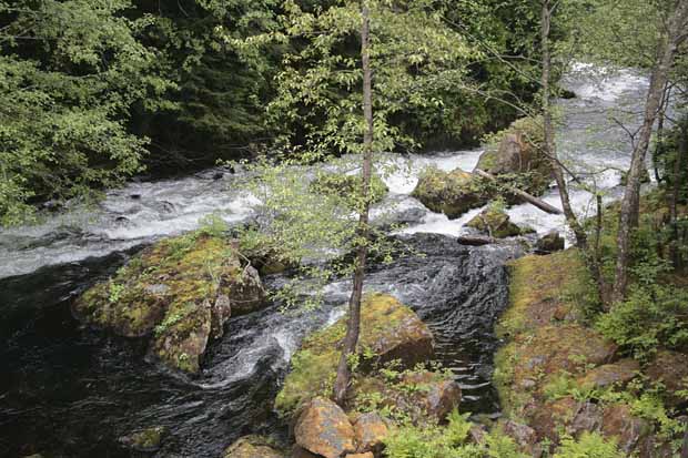 Ketchikan City