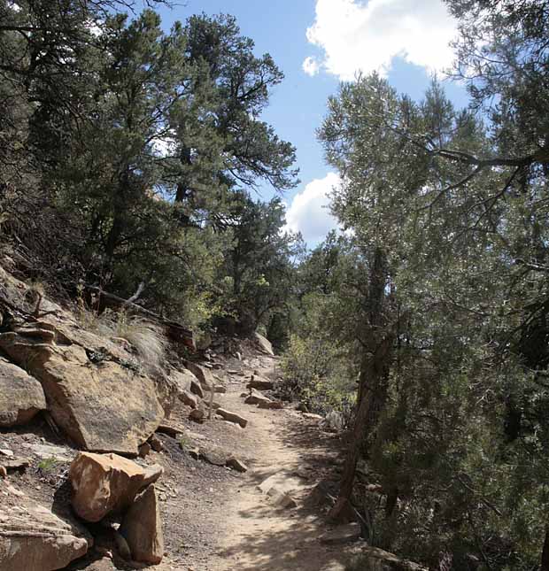 Petroglyph Trail