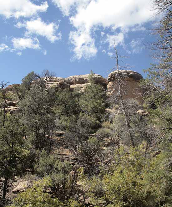 Petroglyph Trail