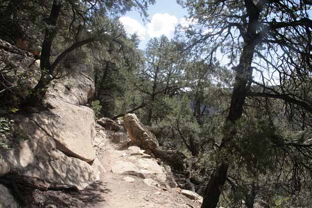 Petroglyph Trail