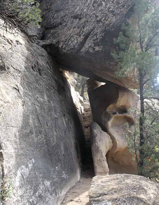 Petroglyph Trail