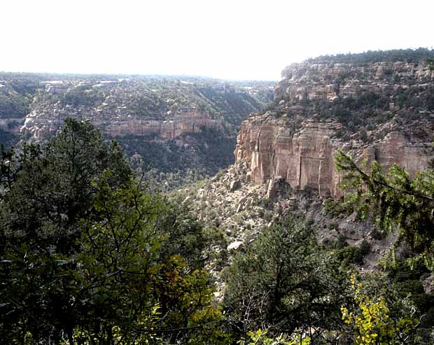 Petroglyph Trail