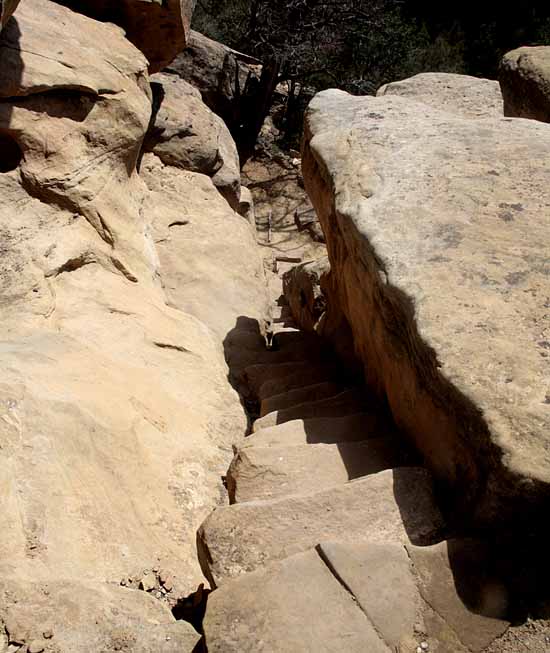 Petroglyph Trail