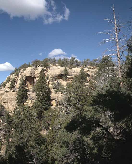 Petroglyph Trail