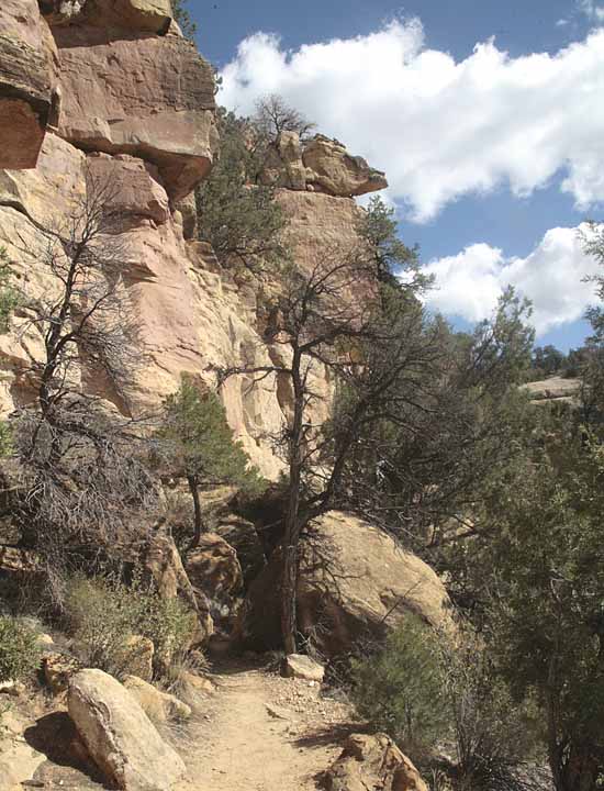 Petroglyph Trail