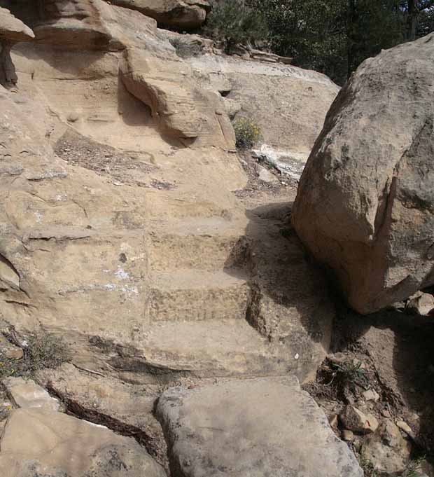 Petroglyph Trail