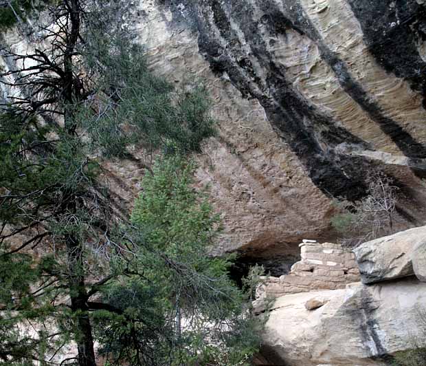 Petroglyph Trail