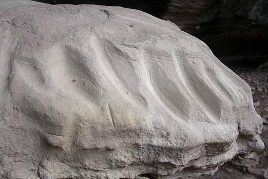 Petroglyph Trail