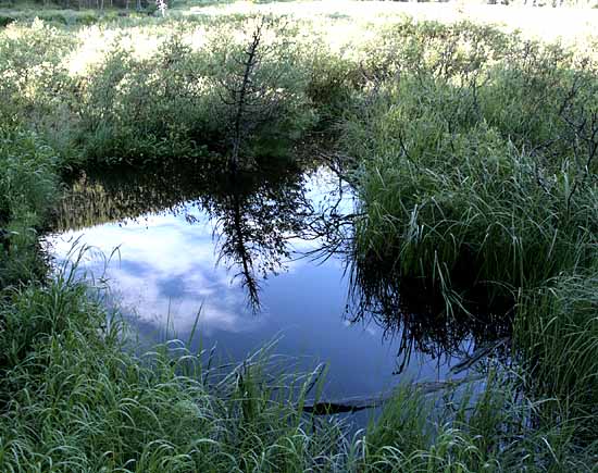 Mohawk Lakes