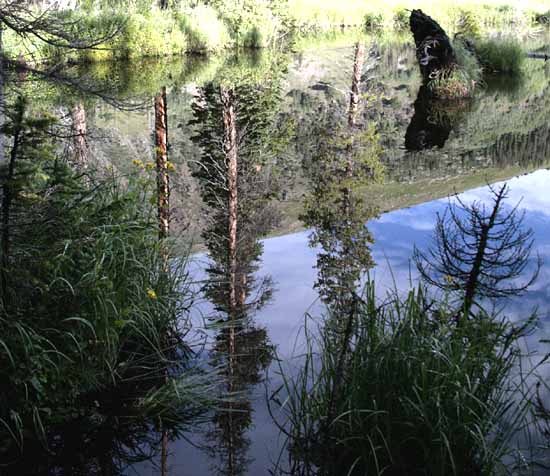 Mohawk Lakes