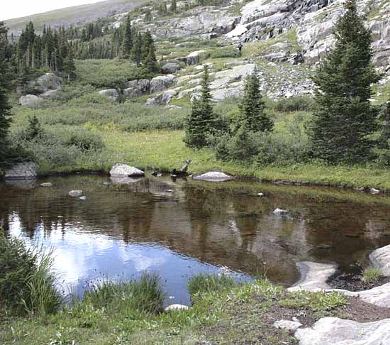 Mohawk Lakes