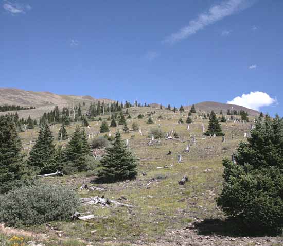 Boreas Pass