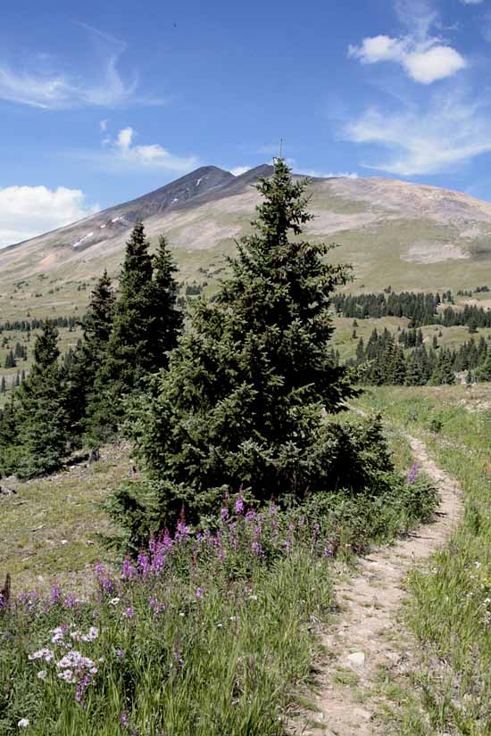 Boreas Pass