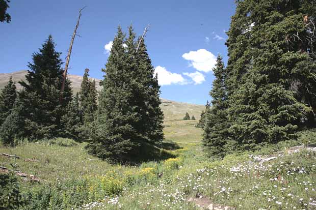 Boreas Pass