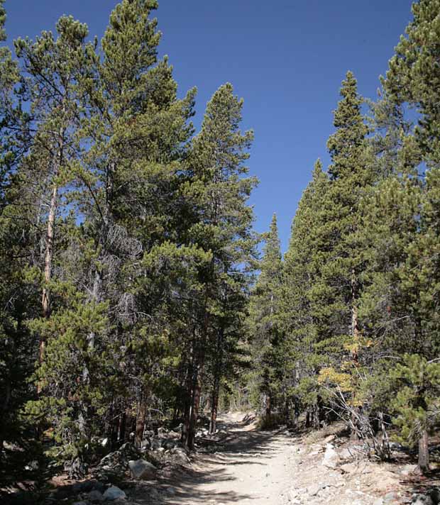 Crystal Lakes Trail