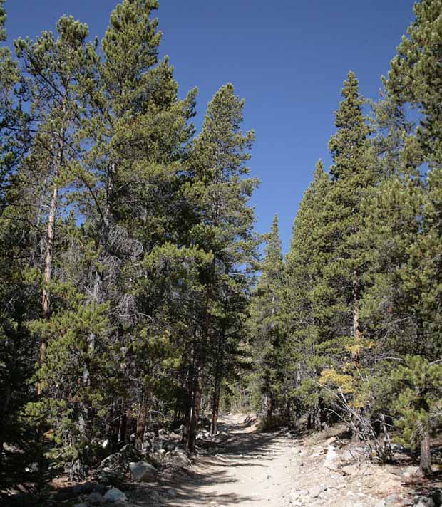 Crystal Lakes Trail