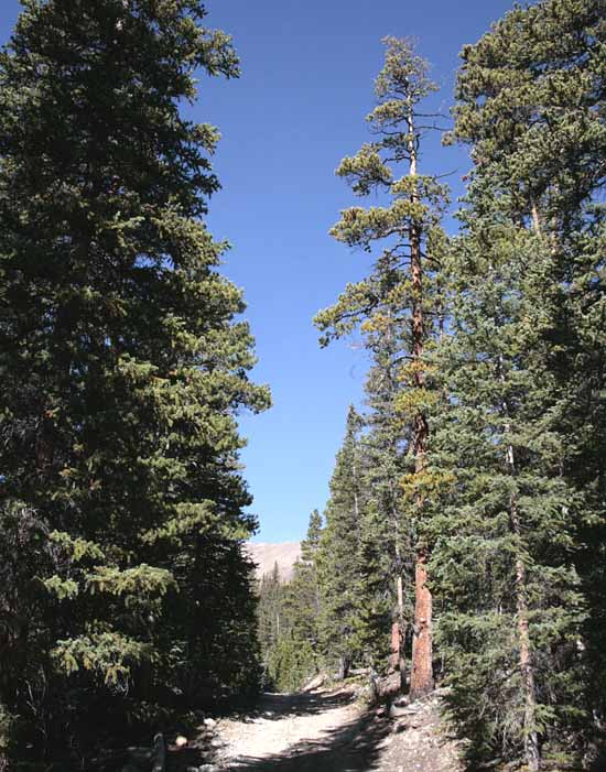 Crystal Lakes Trail