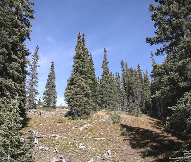 Crystal Lakes Trail