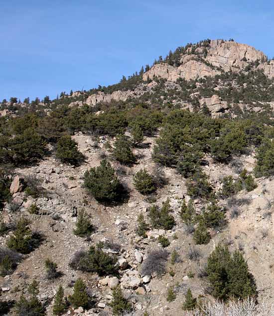 Buena Vista