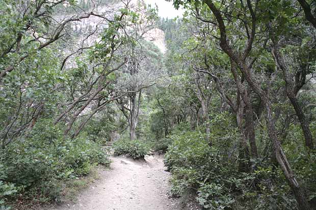 Hanging Lake Trail