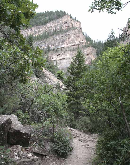 Hanging Lake Trail