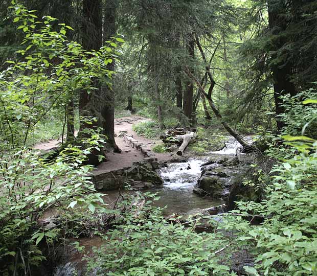 Hanging Lake Trail