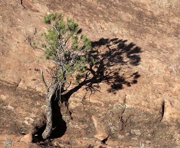 Devil's Kitchen Trail