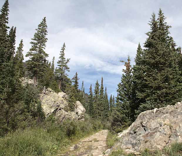 McCullough Gulch