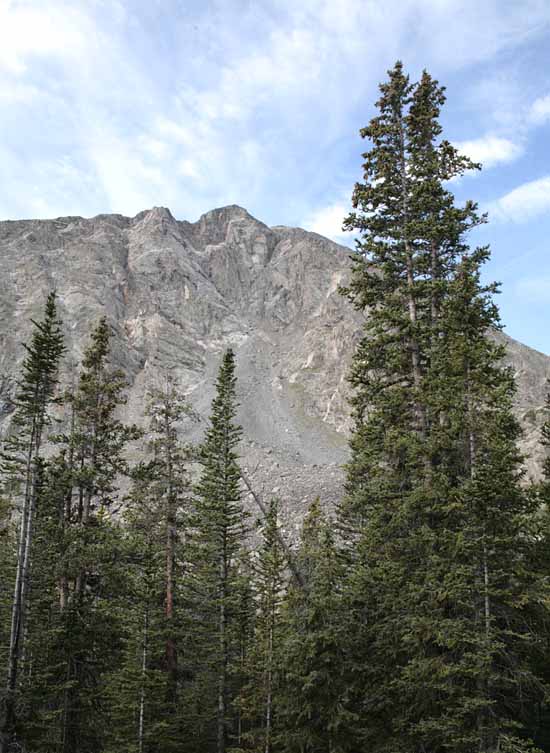 McCullough Gulch