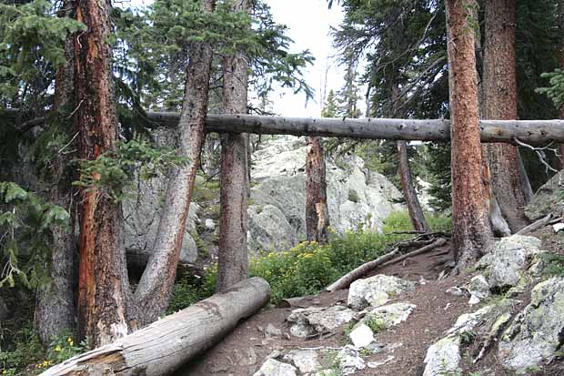 McCullough Gulch