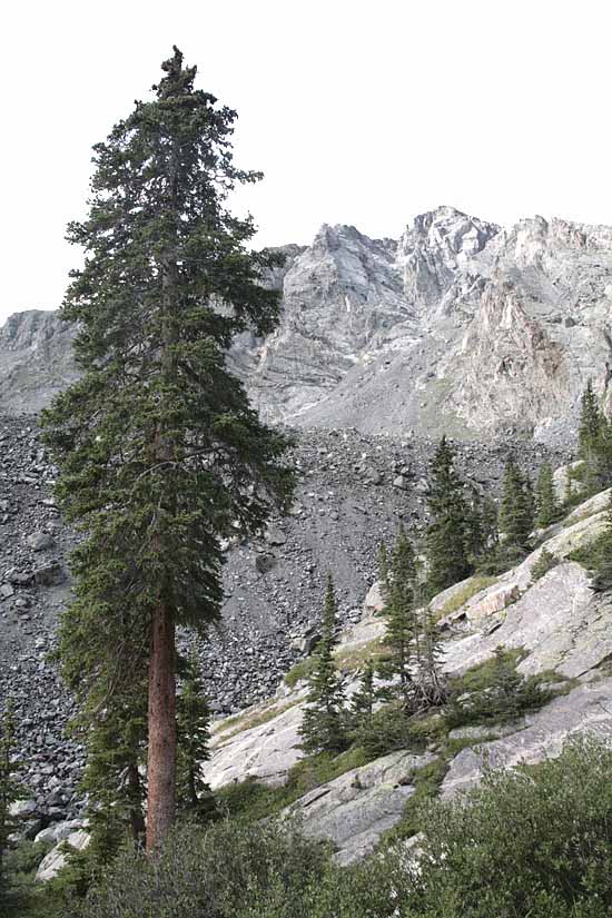 McCullough Gulch