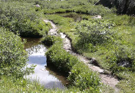 McCullough Gulch