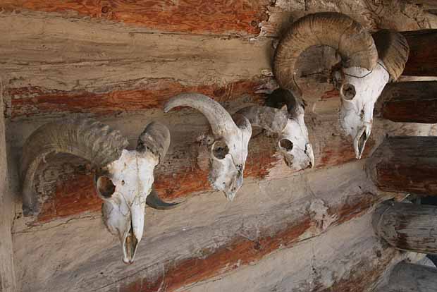 Fort Uncompahgre