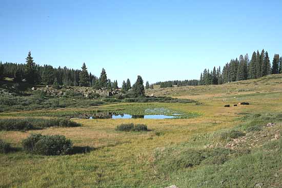 Grand Mesa