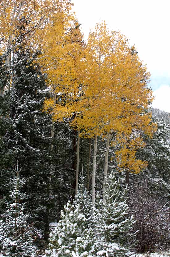 Headwaters of the Colorado River