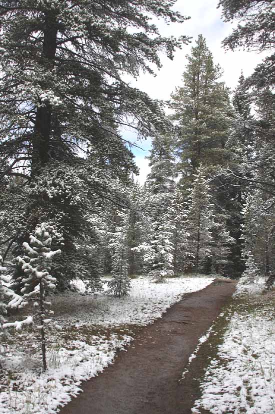 Headwaters of the Colorado River