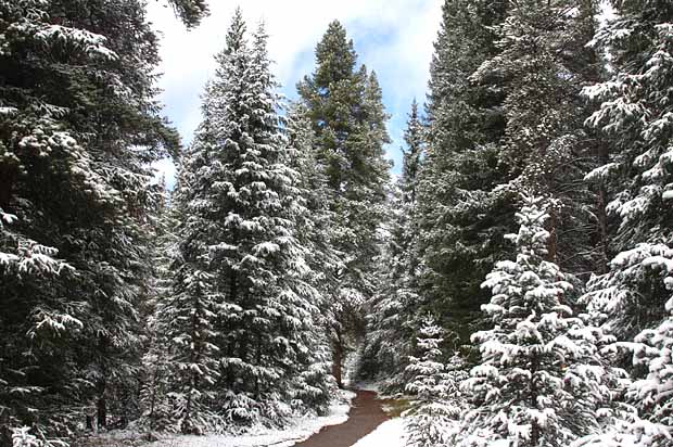 Headwaters of the Colorado River