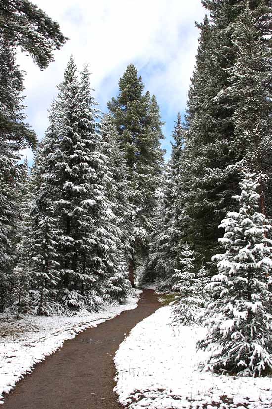 Headwaters of the Colorado River