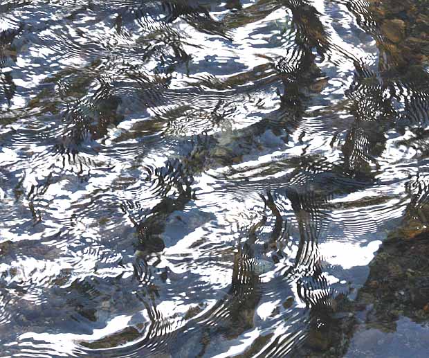 Headwaters of the Colorado River