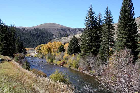 Taylor Creek Road