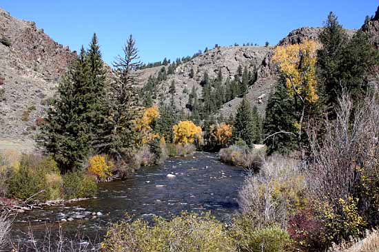 Taylor Creek Road