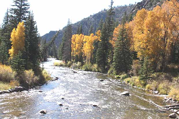 Taylor Creek Road