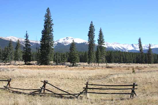 Taylor Creek Road