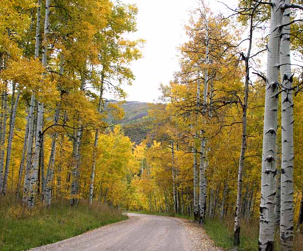 Lake Sylvan State Park