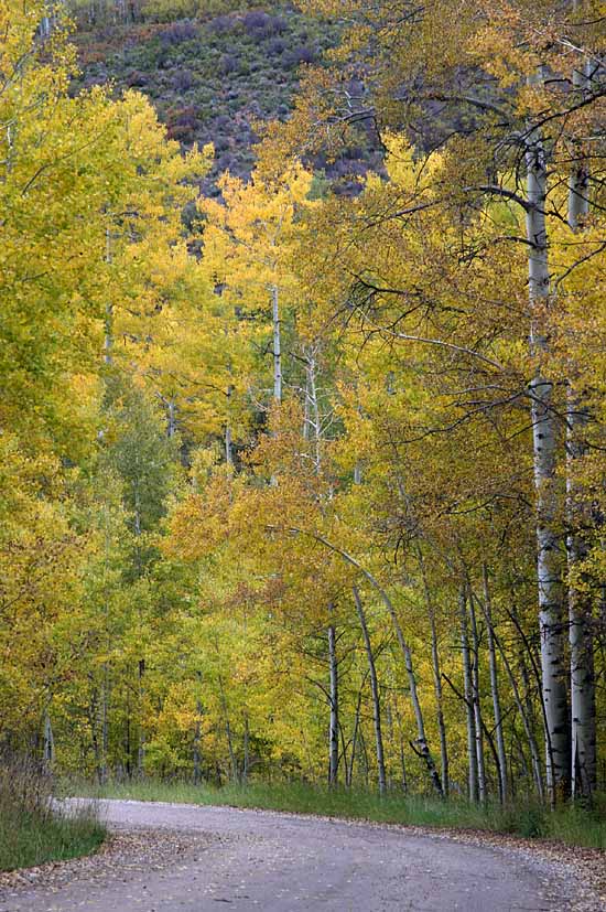 Lake Sylvan State Park