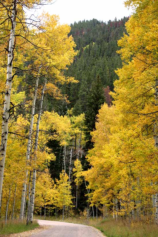 Lake Sylvan State Park